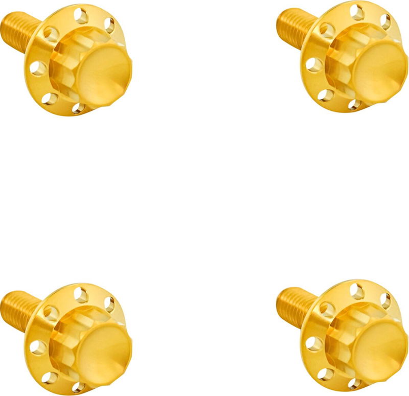 BOLT KIT TITANIUM - FLTR 15-23