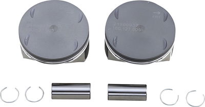 PISTONS 107.005 M8