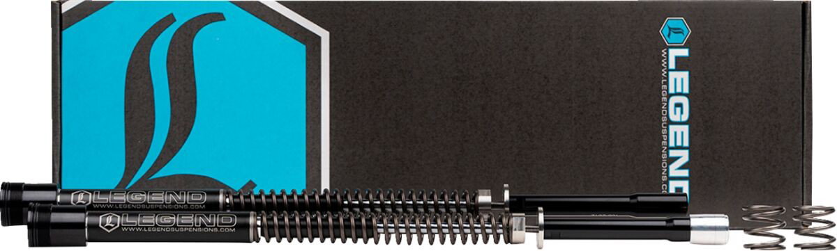 AXEO FORK SPRINGS STANDARD 49M