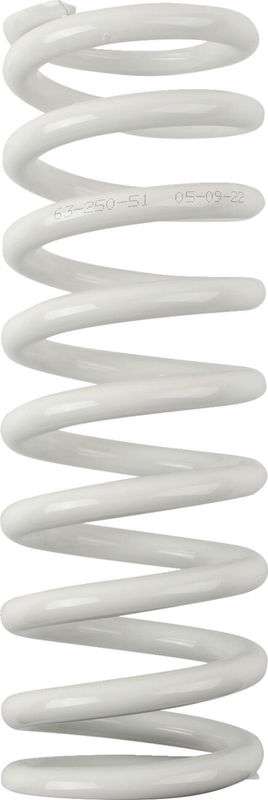 SHOCK SPRING WP 51N