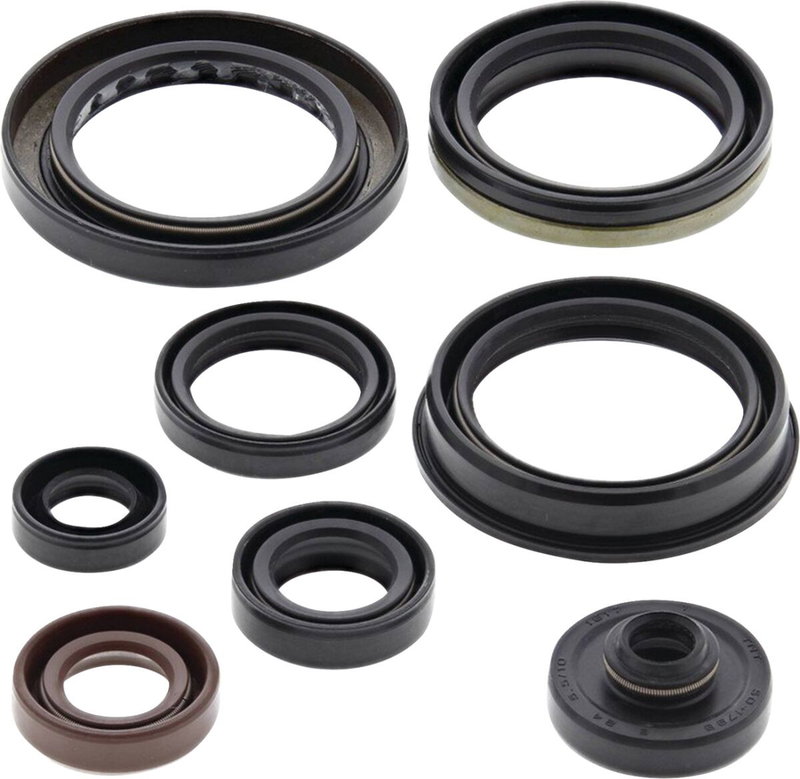 Oil Seal Kit