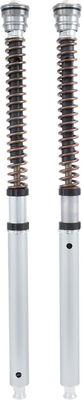 CARTRIDGE DUCATI NIX30 FGK 229