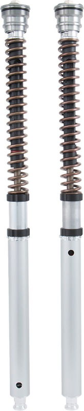 CARTRIDGE DUCATI NIX30 FGK 229