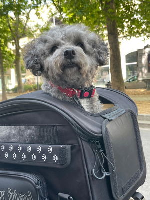 SEAT BAG PET 30L BLACK