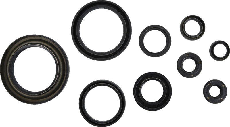 SEAL CRANKCASE OIL KIT TRX450R
