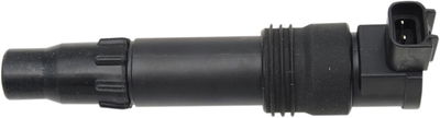 COIL IGN SUZUK BUSA 01-12