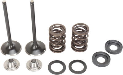 VALVE KIT EX MSE 450EXC