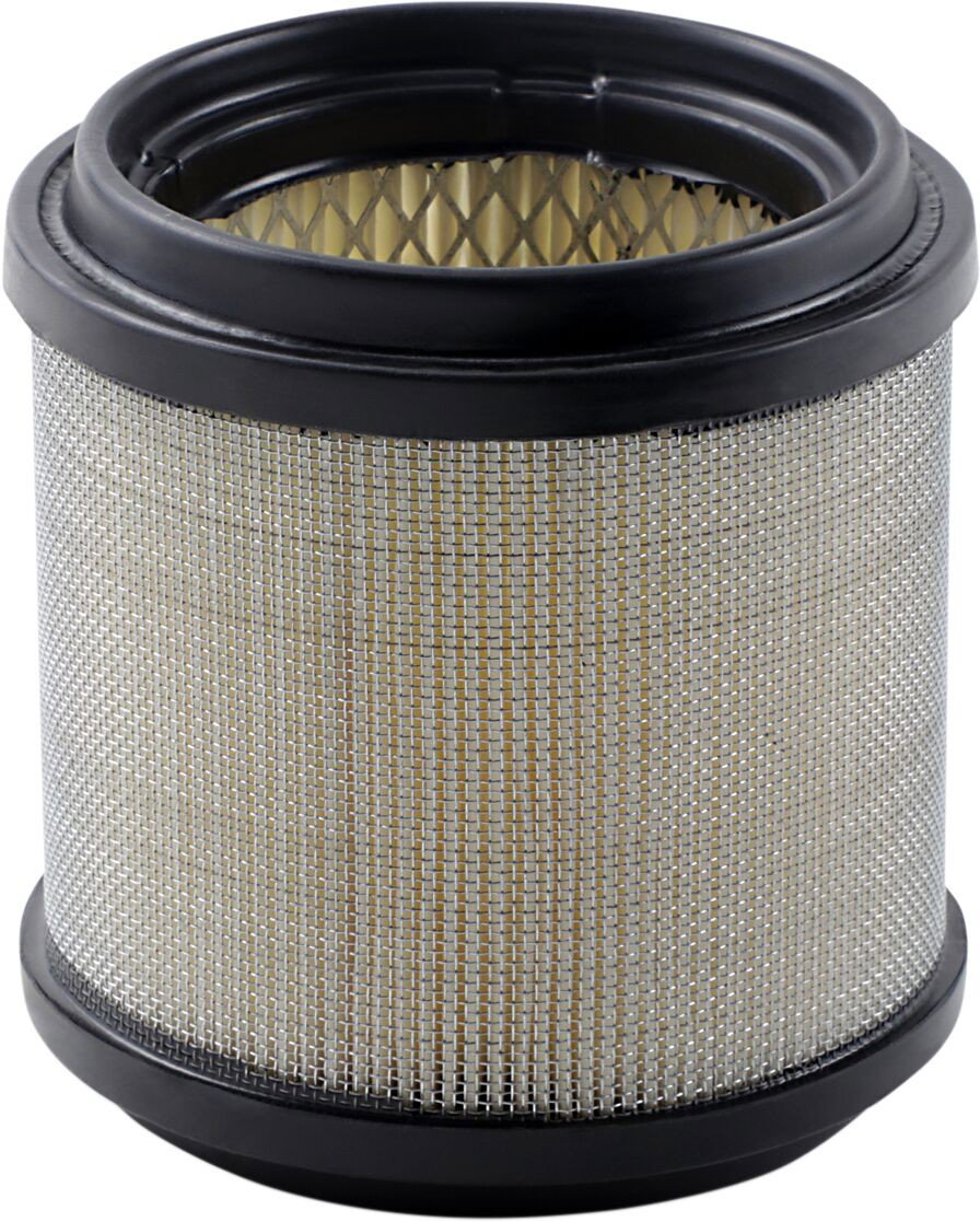 AIR FILTER POLARIS ALL 2-STK