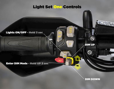 CANSMART GEN II TRIUMPH TIGER