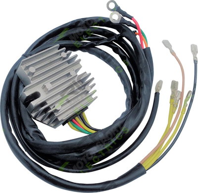 REC-REG UNIVERSAL STYLE BMW R6