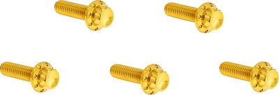 BOLT KIT TITANIUM - TC & M8 -