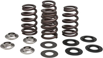 SPRING KT BH KTM450 13-18