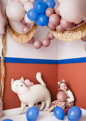 Heliumfylld Ballong, Söt Katt