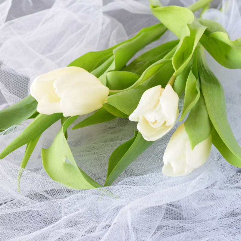 Tulle en rouleau, blanc