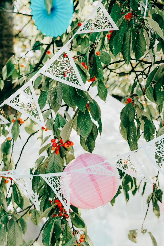 Flaggvimpel, mönster vit