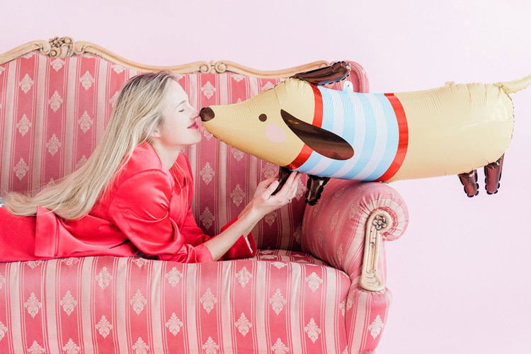 Heliumfylld Ballong, tax hund