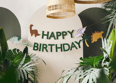 Dinosaurier-Party, Set Deluxe