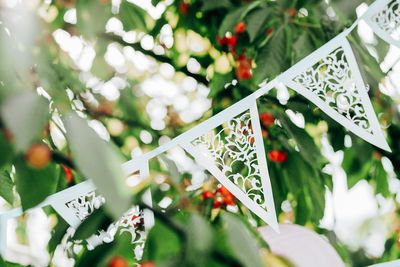 Flaggvimpel, mönster vit