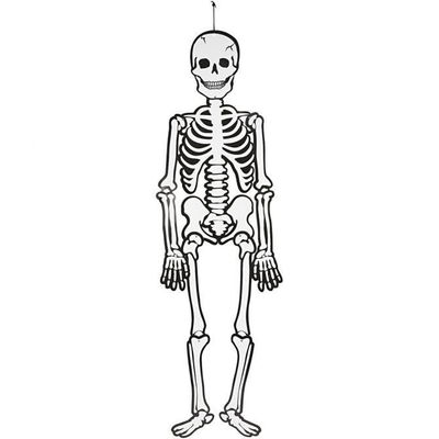Skelett Halloween