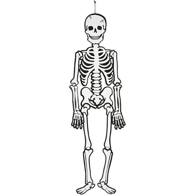 Skelett Halloween