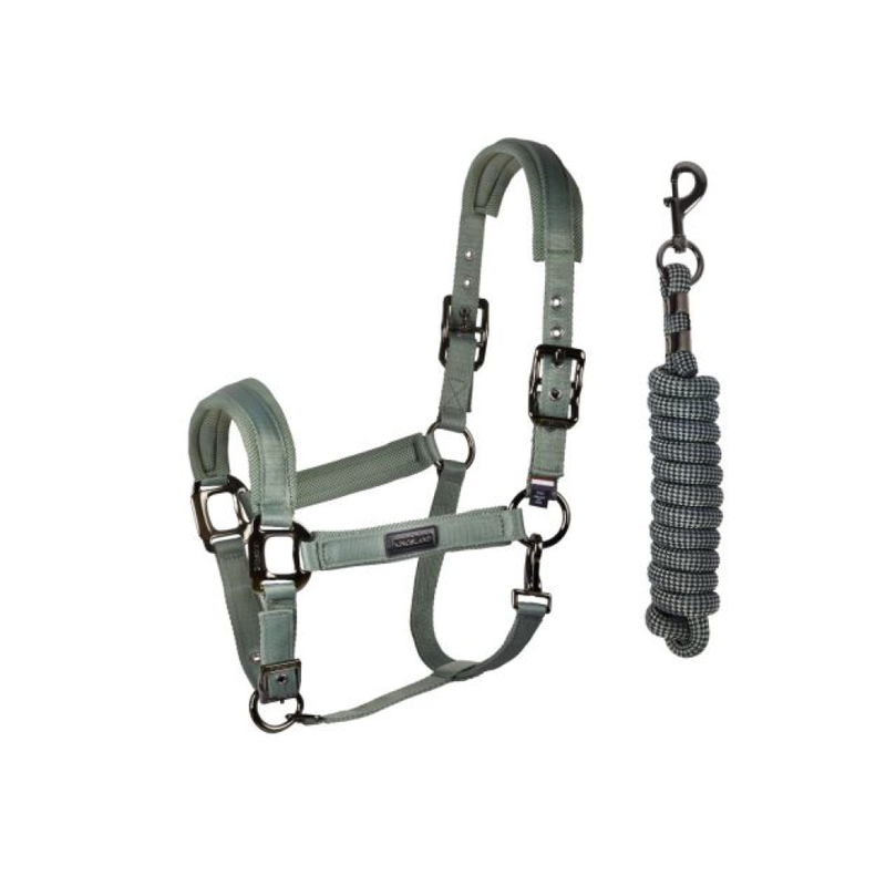 KLLucca grimma och grimskaft