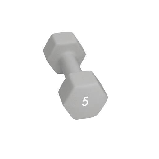 Abilica Hantel (10 kg)