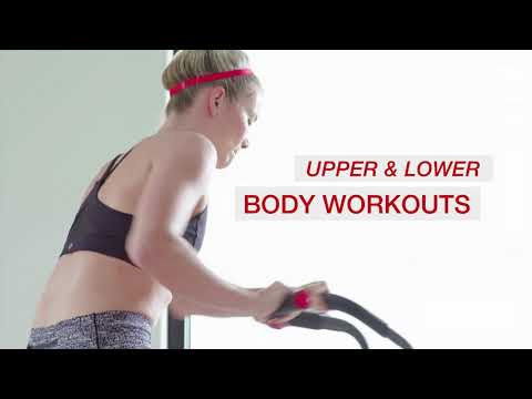 Schwinn Airdyne AD2