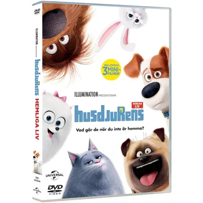 Secret Life of Pets (DVD)