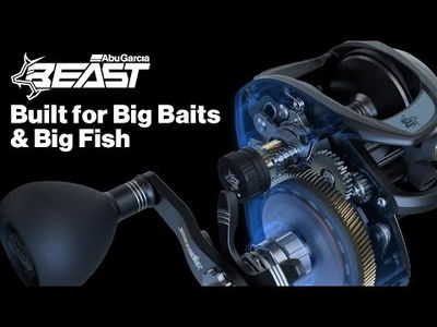 Abu Garcia Beast 200