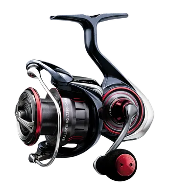 Daiwa 25 Ballistic MQ LT 1000D-H