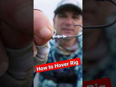 Darts Hoover Head (2-pack)