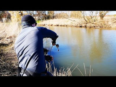 Hurricane Nordic Native V2 7- & 8ft - Haspel