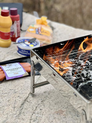 Wiggler Grill Box Stainless Steel 39x30x8cm