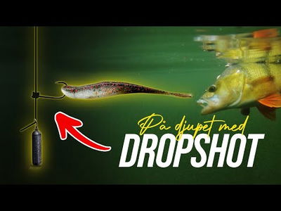 Utklasad Tungsten Drop Shot Weight