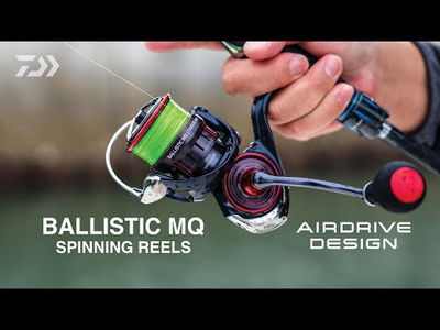 Daiwa 25 Ballistic MQ LT 1000D-H