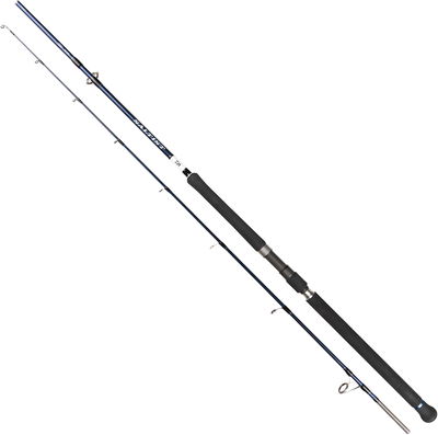 Daiwa Saltist Hyper Spin 7'5" 2pc 150-250g