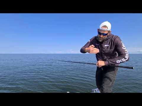 Daiwa Prorex Lazy Jerk 155 Slow Sink 15,5cm 85g