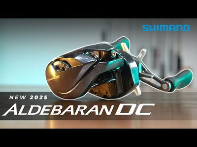 Shimano Aldebaran DC 31
