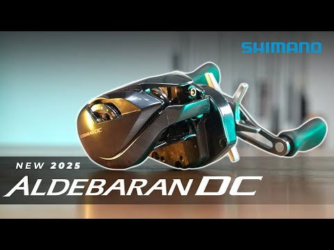 Shimano Aldebaran DC 31