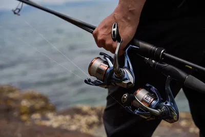 Shimano Nasci FD 1000