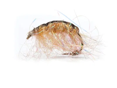 Unique Flies Polarloppen