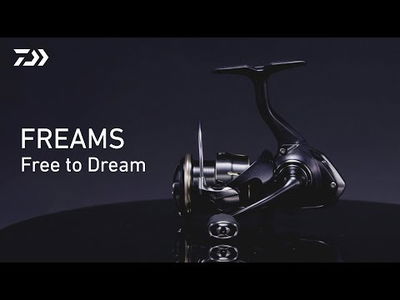 Daiwa 26 Freams LT 1000