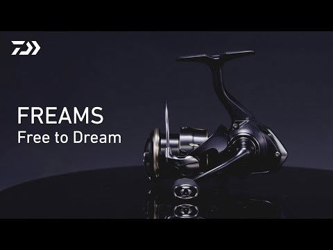 Daiwa 26 Freams LT 1000