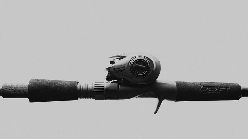 Abu Garcia Beast 200