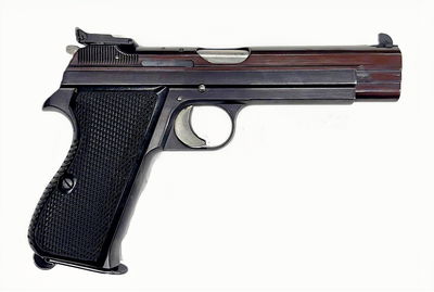 BEG-838h1_1