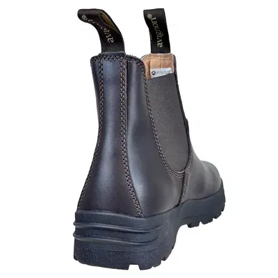Avignon darvin jodhpurs läder