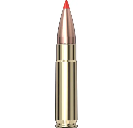 Hornady V-max 300 Blackout 110gr V_MAX