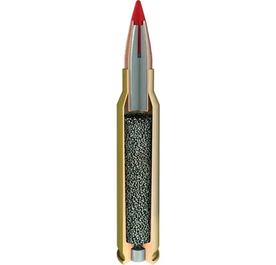 Hornady V-max 300 Blackout 110gr V_MAX