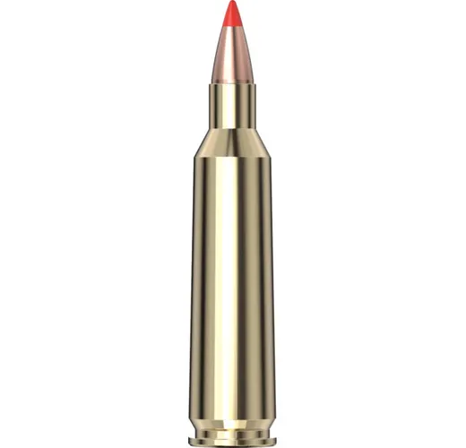 Hornady Varmint 22-250 (55gr.) V-MAX