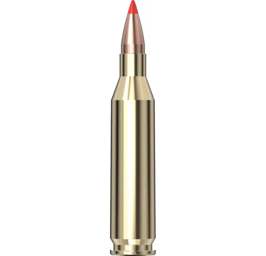 Hornady Varmint 243 Win (58gr.) V-MAX